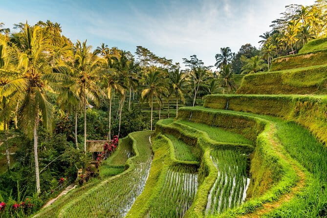 Full Day Tour to Water Temples UNESCO Rice Terraces in Bali - FAQs