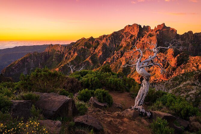 Full Day Tour to West Madeira Island - Analyzing the Experience in Detail