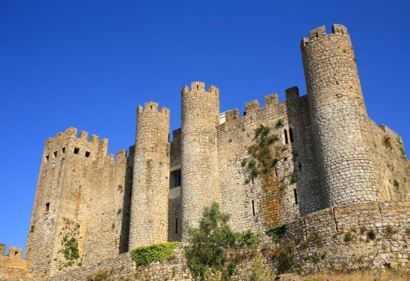 Full Day Tour - Transfer to Porto from Lisbon with Stops - FAQ