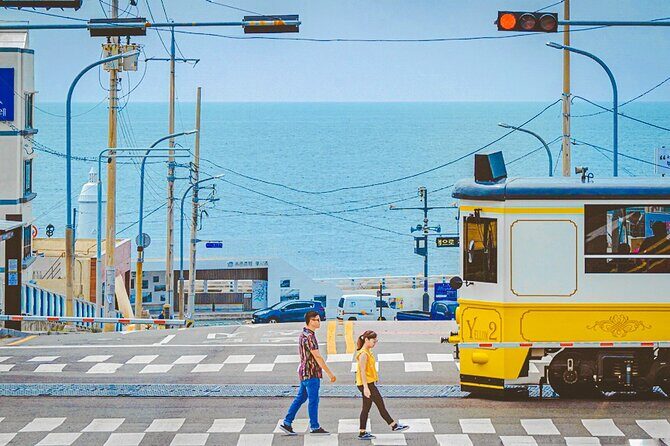 Full-Day Tour Unmissable things to do in Busan - Key Points