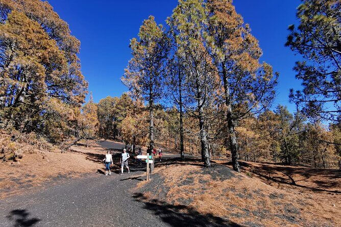 Full Day Tour with Hiking to the Tajogaite Volcano - A Deep Dive into the Experience