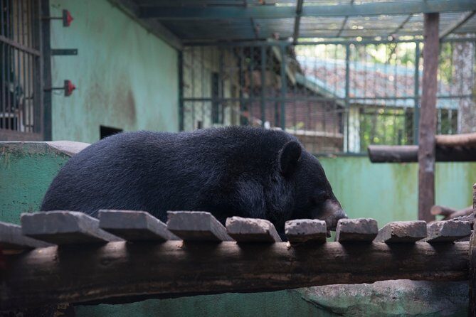Full Day Trek to Kuang Si Waterfalls, Remote Village - Authentic Guides and Local Stories