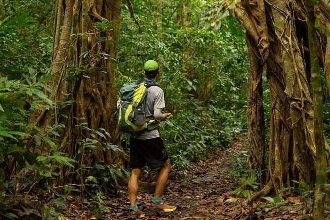 Full Day Trekking Cat Ba National Park, Viet Hai Village, biking - An In-Depth Look at the Tour Experience