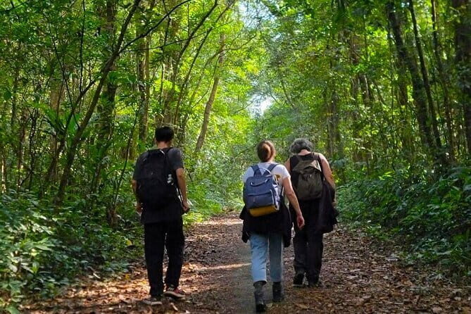 Full-Day Trekking Explore Cat Ba National Park, Viet Hai Village - Practical Details & Tips