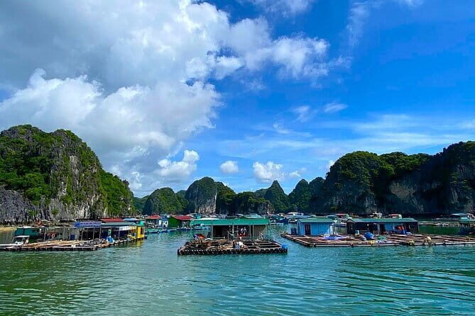 Full-Day Trekking Explore Cat Ba National Park, Viet Hai Village - Is This Tour Worth It?