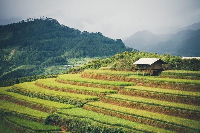 Full Day Trekking Mu Cang Chai - Practical Details and Tips