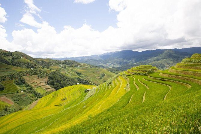 Full Day Trekking Mu Cang Chai - The Sum Up