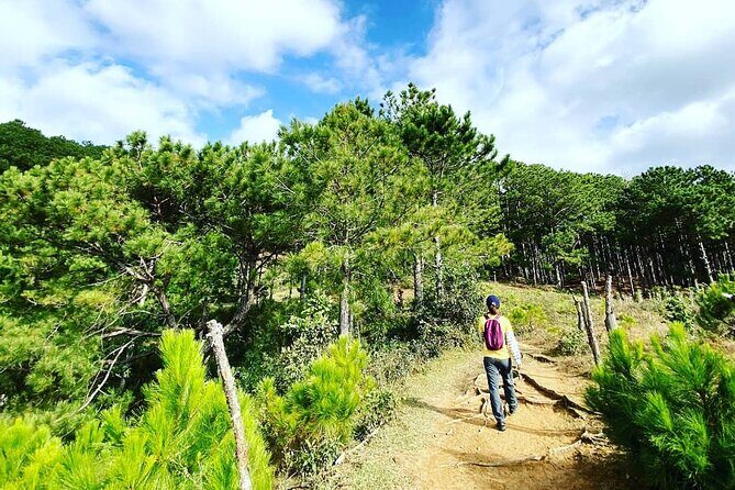 Full day Trekking On Langbiang Mountain - Overview and What to Expect