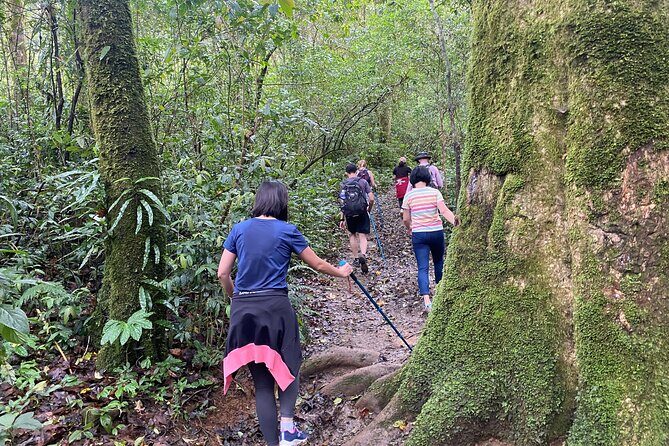 Full day Trekking On Langbiang Mountain - The Journey Begins: Pickup and First Impressions