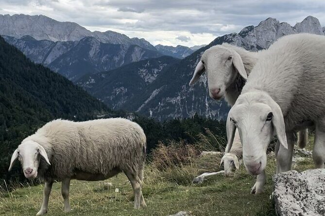 Full-Day Triglav National Park Tour from Ljubljana - FAQ