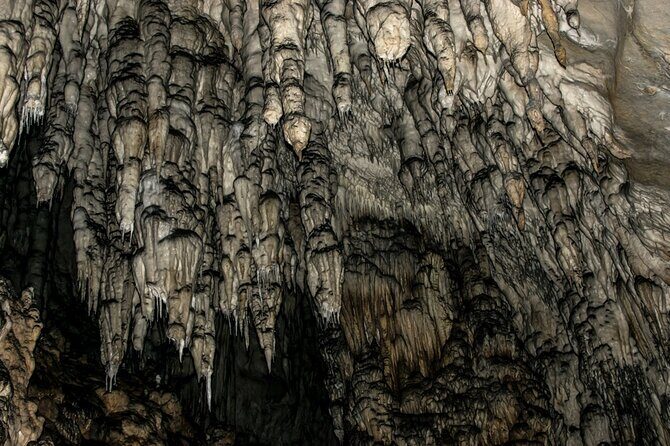 Full Day Trip from Belgrade: Uvac Nature Reserve Tour - The Sum Up: Who Will Love This Tour?