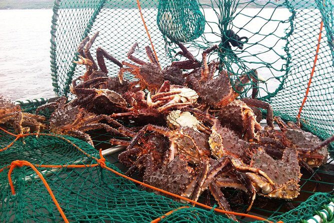 Full-Day Trip: King Crab Safari to Norway from Saariselkä Including Lunch - Who’s This Tour Best For?