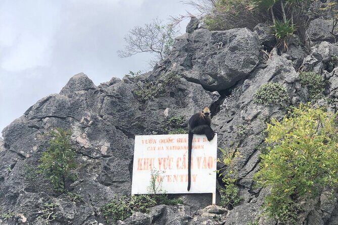 Full day trip to Lan Ha-Ha Long Bay from Cat Ba, avoid the crowds - Who Is This Tour Best For?