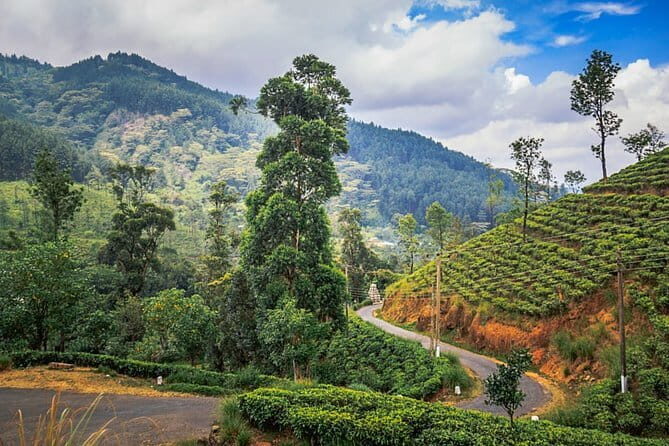 Full Day Trip to Sigiriya and Dambulla from Kandy - Final Thoughts: Is This Tour for You?
