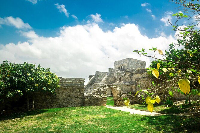 Full Day Tulum Ruins Tour Cenote and Swimming with Sea Turtles - Key Points