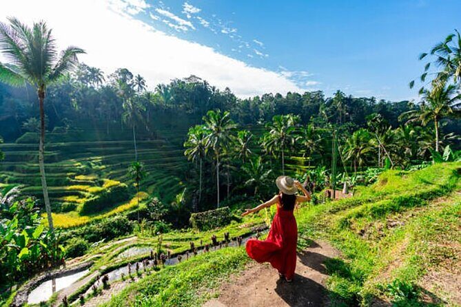 Full Day  Ubud Art Village and Mount Batur Kintamani with Lunch - An Introduction to the Tour Experience