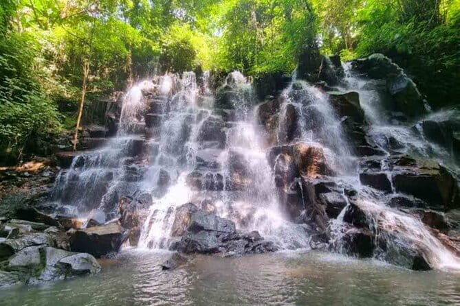 Full Day Ubud Tour Visit Waterfall, Monkey Forest, Rice Terrace - A Deep Dive into the Ubud Full Day Tour