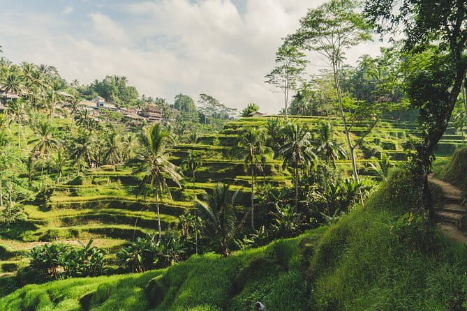 Full Day Ubud Tour Visit Waterfall, Monkey Forest, Rice Terrace - FAQ