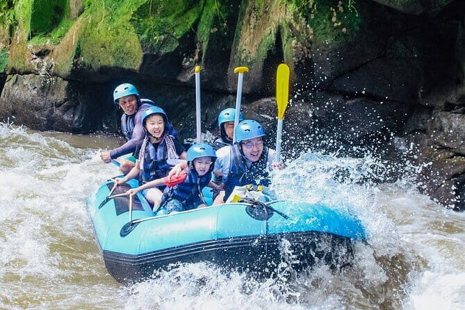 Full day Ubud Trip Rafting and Rice Terrace with Monkey Forest - Authentic Insights from Reviews