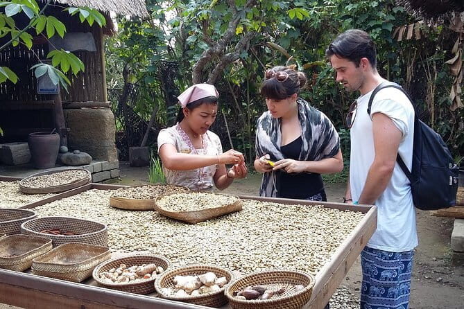 Full-Day Ubud Village including Mt Batur Tirta Empul and Sightseeing Tour - Practical Details & What to Expect