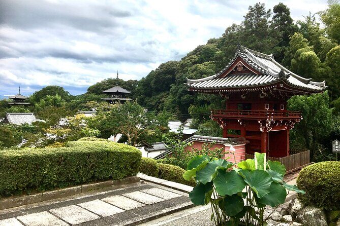 Full-Day Unique Sumo Experience in Katsuragi, Nara - Final Thoughts: Who This Tour Is Perfect For