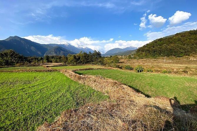 Full Day Unlimited Landscape Visit Tour in Private Car - Why We Love This Tour