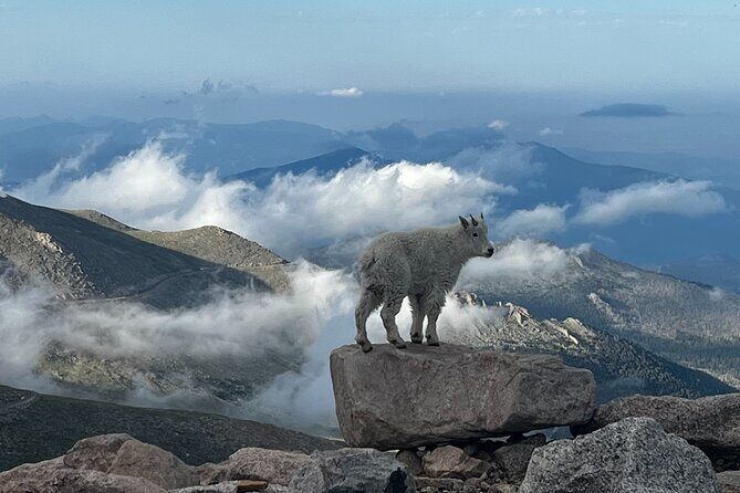 Full-Day Views and Scenic Mount Evans Private Guided Drive Tour - Pricing and Value