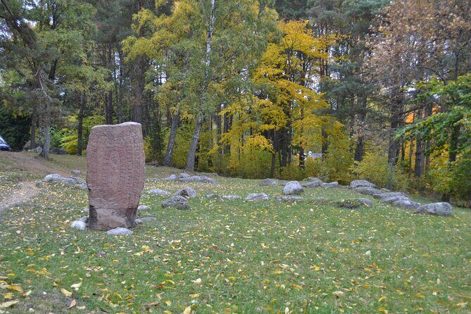 Full Day Viking Tour with Fika Swedish Coffee Break - Frequently Asked Questions