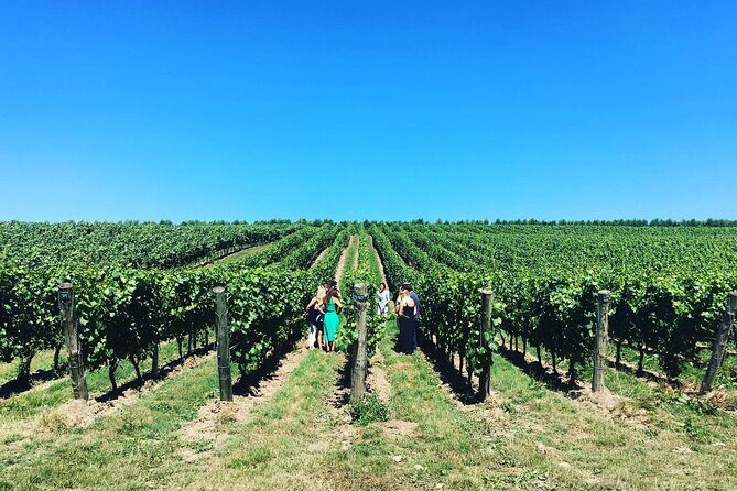 Full-Day Vintage Bus Wine Tour of Sussex from London - A Deep Dive into the Experience