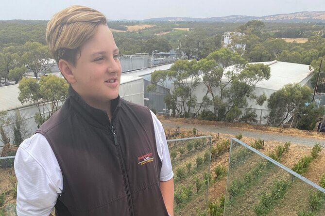 Full-Day VIP Hahndorf and McLaren Vale Private Car Tour - Why This Tour Offers Good Value