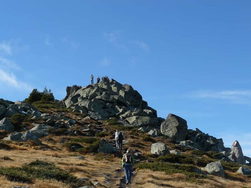 Full-Day Vitosha and Cherni Vruh Peak Hiking Tour - What to Expect from the Vitosha Hiking Tour