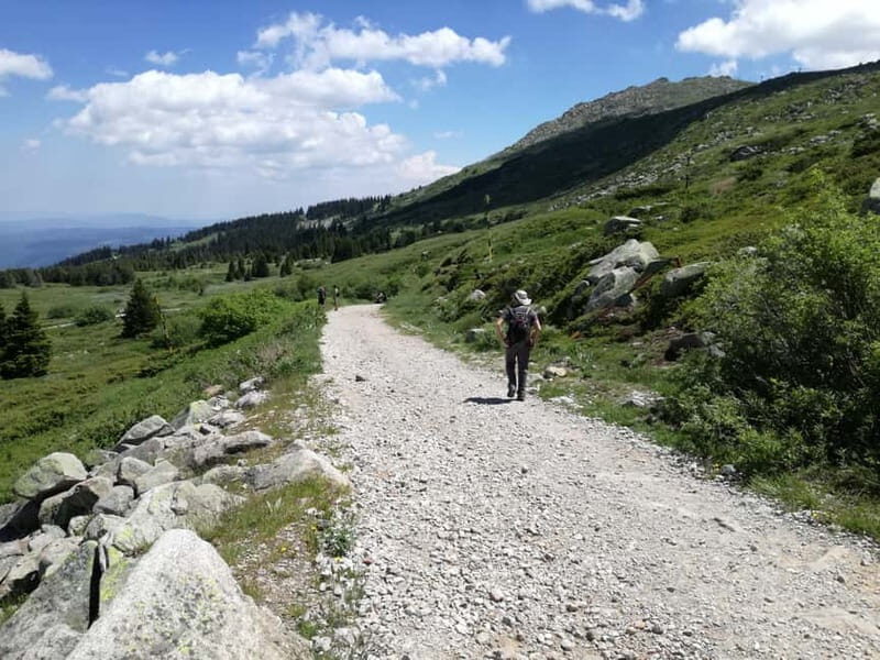 Full-Day Vitosha and Cherni Vruh Peak Hiking Tour - The Experience and Its Value