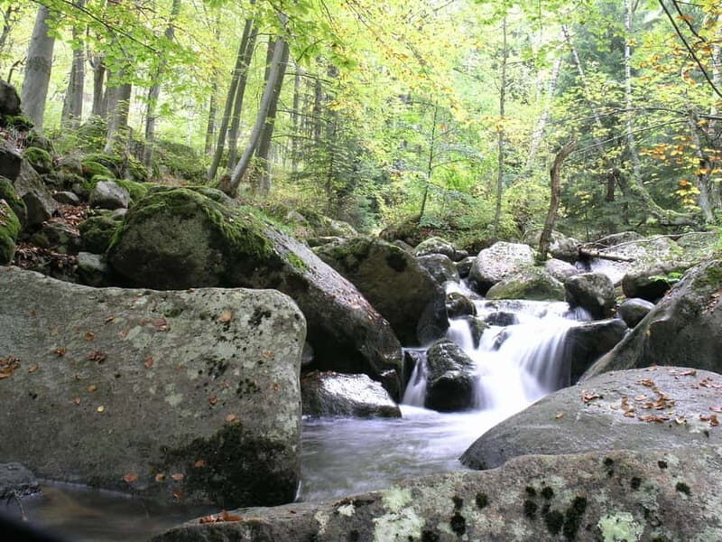 Full-Day Vitosha and Cherni Vruh Peak Hiking Tour - Who Would Love This Tour?
