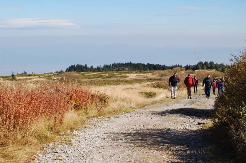 Full-Day Vitosha and Cherni Vruh Peak Hiking Tour - The Sum Up