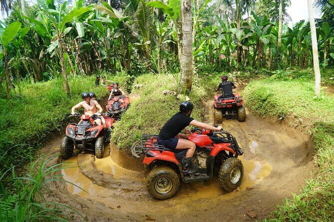 Full Day Volcano Kintamani in Bali - Lunch and Additional Details