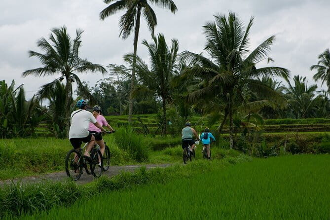 Full Day Volcano Kintamani in Bali - How to Make the Most of It