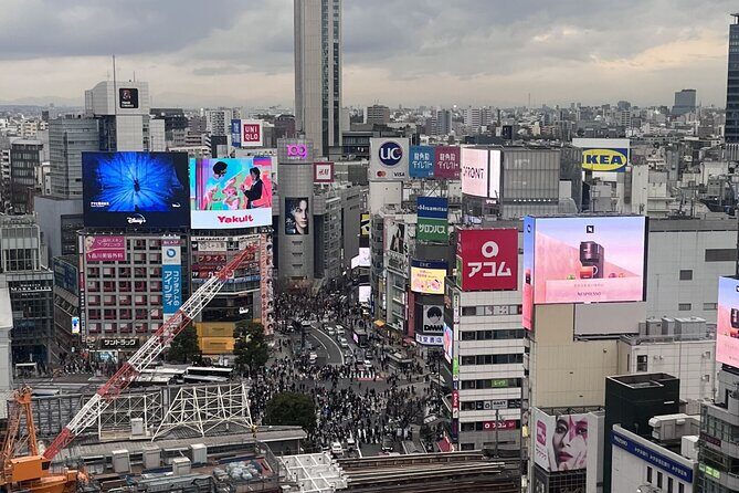Full Day Walking Tour in Shinjuku and Shibuya - FAQ