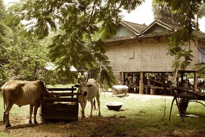 Full-day: Wat Banan. Old bamboo train. Bat Cave. Killing cave - Exploring Battambang: A Comprehensive Look at the Tour