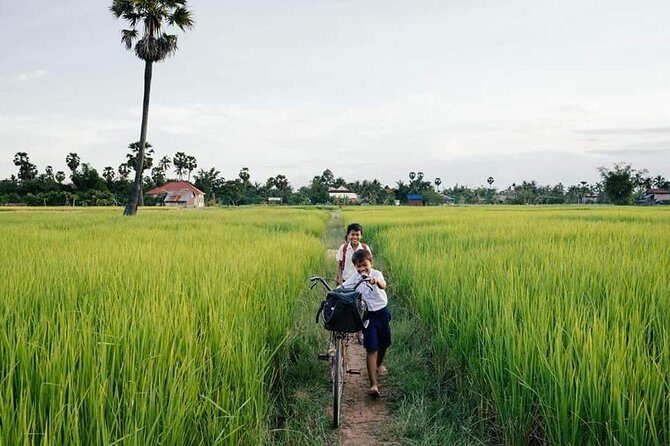 Full-day: Wat Banan. Old bamboo train. Bat Cave. Killing cave - FAQs
