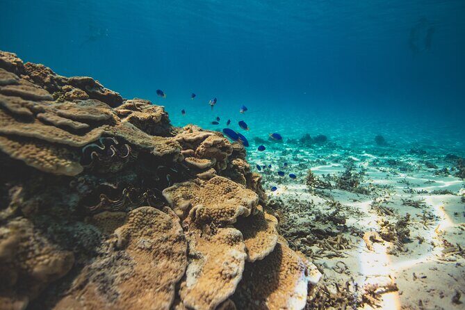 Full Day Water Experience Eco snorkeling and Jet ski with lunch - FAQ