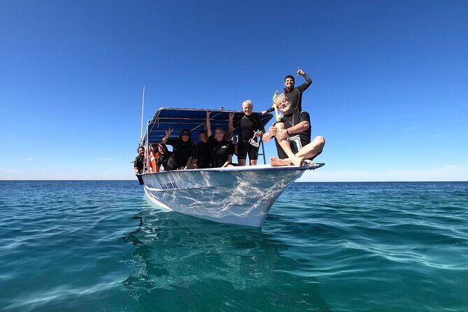 Full-Day Whale Shark Snorkeling Adventure with Beach Lunch - Practical Tips to Maximize Your Experience