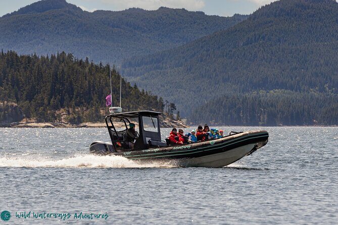 Full Day Whale Watching Campbell River - Who Will Love This Tour?