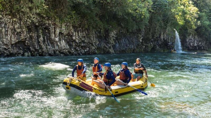Full Day White Water Rafting From Cairns or Mission Beach - Key Points