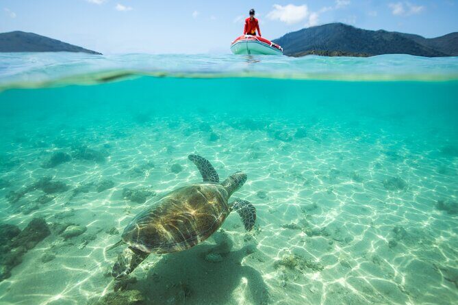 Full-Day Whitsunday Sail and Snorkel Adventure with Lunch - FAQ