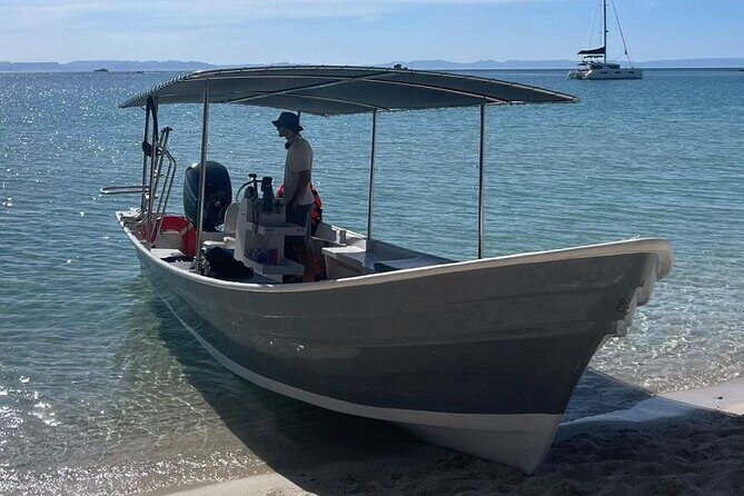 Full Day Wildlife Expedition in the Sea of Cortez - The Experience: What Travelers Might Expect