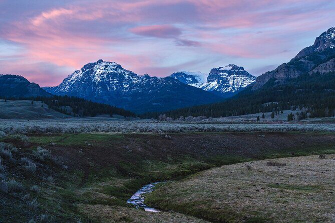 Full Day Wildlife Photography Tour In Yellowstone National Park - Introduction
