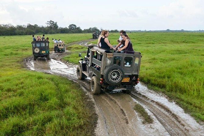 Full Day Wilpaththu National Park Safari (All Inclusive) - Introduction to the Wilpattu Safari