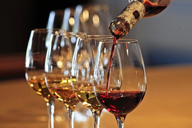Full-Day Wine Country Wine Tastings From Atlanta - Who Should Consider This Tour?