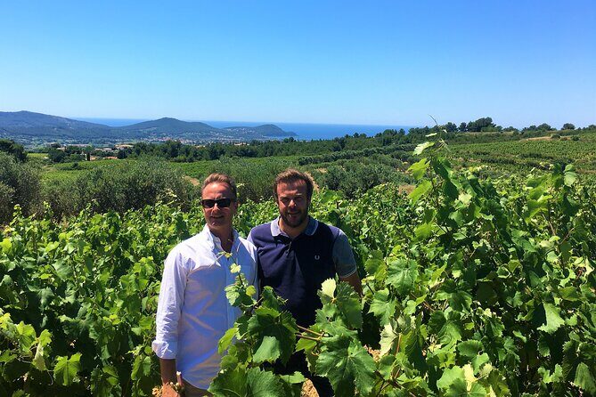 Full-day Wine Tour around Bandol & Cassis from Marseille - The Stunning Cap Canaille Viewpoint
