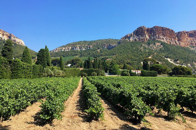 Full-day Wine Tour around Bandol & Cassis from Marseille - What Makes This Tour Stand Out?